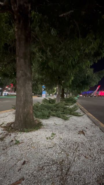 Красивые клумбы с хвойниками😄👍❤️ смотреть онлайн