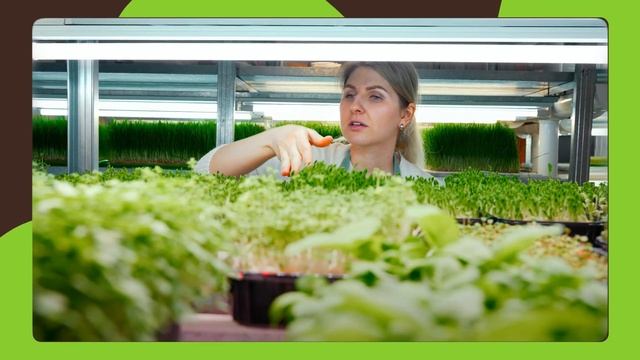 Как построить МИЛЛИАРДНЫЙ бизнес на зелени? Самый ПРИ?