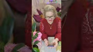 Домашняя Незабудка в прямом эфире!