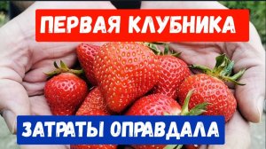 #18🌷Газонокосилка в помощь/Траву скосили/Первая клубника/Затраты оправдала своим трудом
