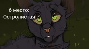 ТОП 10 моих любимых котов-воителей