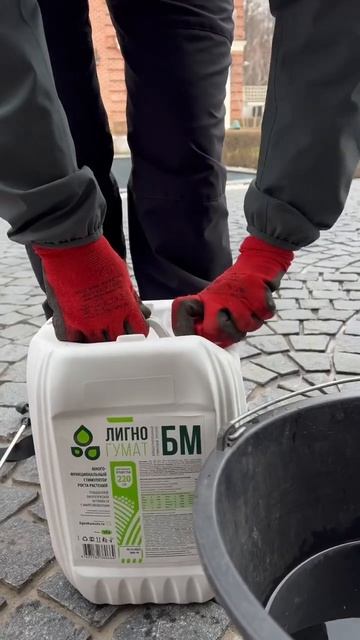 Схема реанимации хвойных после холодовых и солнечных смотреть онлайн