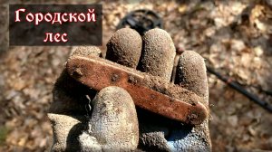 Копаю в Тольяттинском лесу.