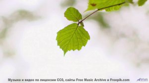 Ты НЕ ПОВЕРИШЬ, что это не CGI! - Zeremonienmeister -- Berstgefahr -- Berstgefahr