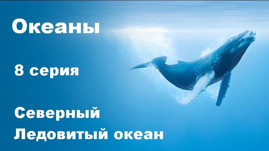 Океаны. Северный Ледовитый океан (8/8)