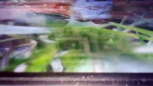 Шикарная модель пожарной машины Урал Некст от фирмы технопарк.