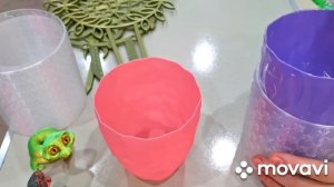 КОМНАТНЫЕ РАСТЕНИЯ(ЦВЕТЫ).ПОСЫЛКА -СЮРПРИЗ!ПОСЫЛКА -ПО