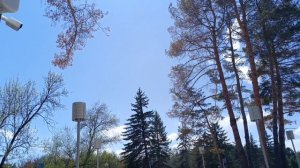 Майские праздники в Комсомольском парке #Кисловодск 2025