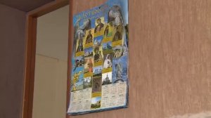 Программа Черта.