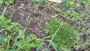 Дача в начале мая
07.05.25