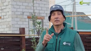 Появился колорадский жук?! Эти средства вам помогут!