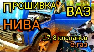 Прошивка ВАЗ Нива, Нива Урбан. Лада 1.7 8 клапанов, ДМРВ, Е-газ. ЭБУ Bosch 17.9.7 21214-1411020-70.