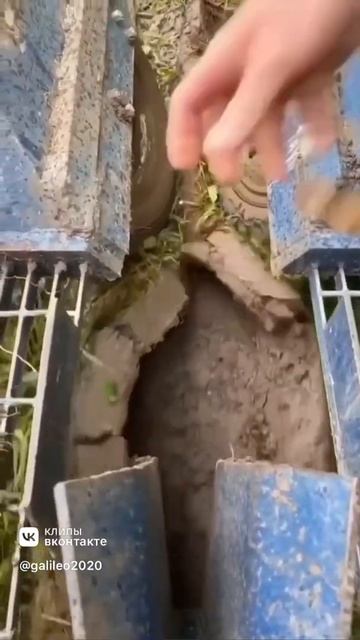 Как быстро и удобно посадить растения? смотреть онлайн