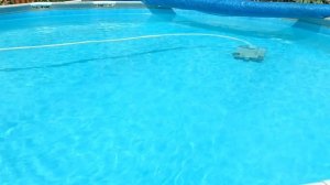 Покраска каркасного бассейна изнутри: 3-й год!