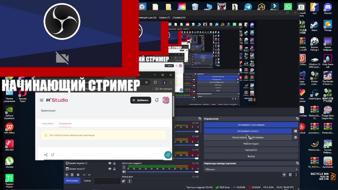 Стримим вместе с нинки (Начинающий стример)