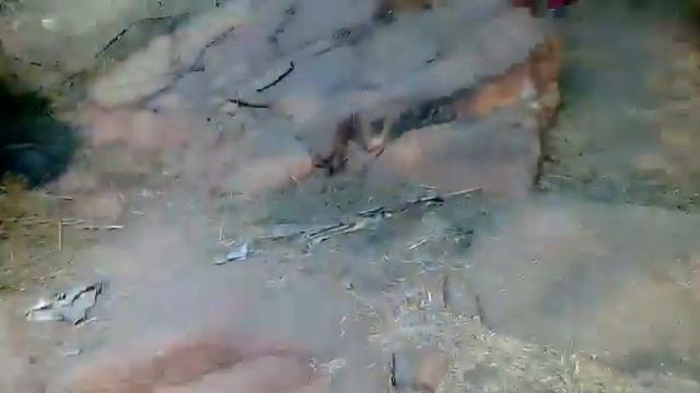 6 Пичалини шила (вид сверху) смотреть онлайн