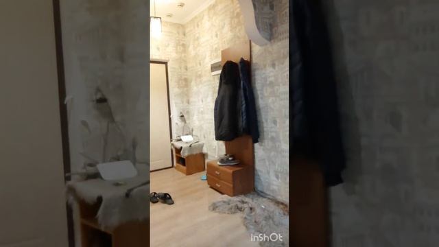 Сколько нужно пакетиков чая? смотреть онлайн