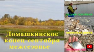 Домашкинское водохранилище осенью