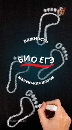 ВАЖНОСТЬ МАЛЕНЬКИХ ШАГОВ