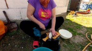 Ремонт старого туалета/спилили черешню/свежие караси