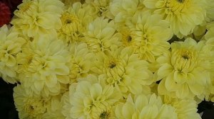 Ритуалы - онлайн на осеннее солнцестояние на богатств?