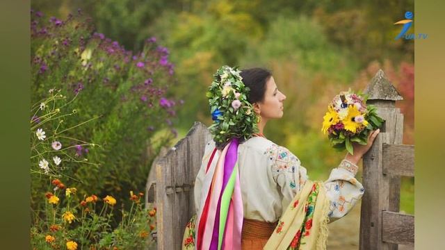 11. БАРВІНОК (Національні символи, святині і обереги Ук?