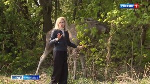 В смоленском приюте "Верность" подрастает лось