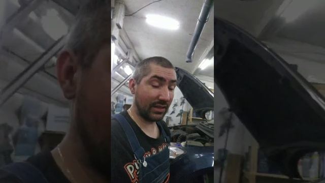 Вот почему гниёт низ крыла