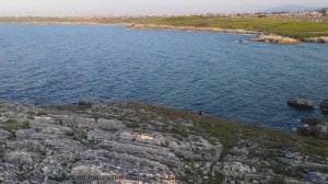 Эта композиция - объятие природы! - One Night In Rio -- Duncan Reid and the Big Heads -- Live at Mon