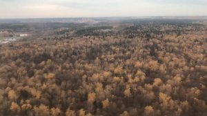 Посадка самолёта в Москве