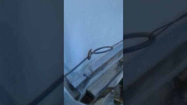 Парник смотреть онлайн