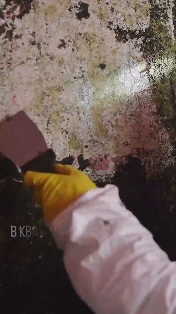 Микропроветривание: свежий воздух без риска! смотреть онлайн