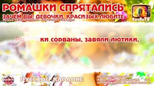 Караоке    Ромашки спрятались    или  Зачем вы, девочки, ?