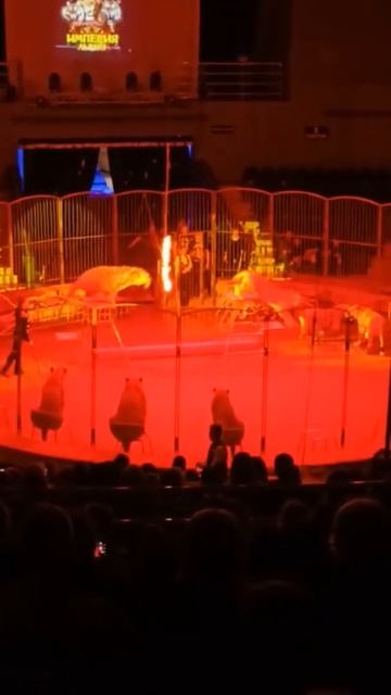 28 марта 2022 г. смотреть онлайн