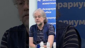 А вы правильно кормите своих рыб?