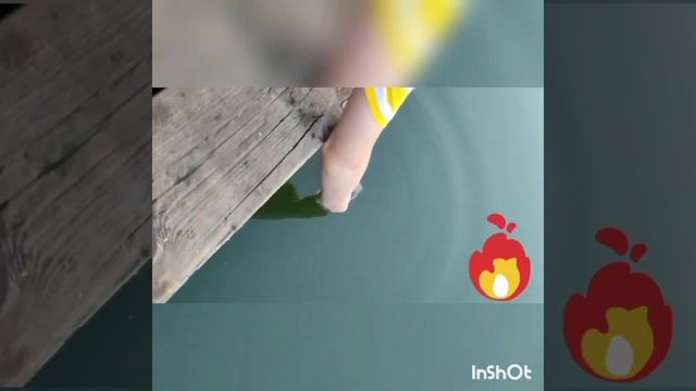 ПРУД ПОРАДОВАЛ ЧЕРЕПАХОЙ!!!!...Летняя рыбалка на удочку