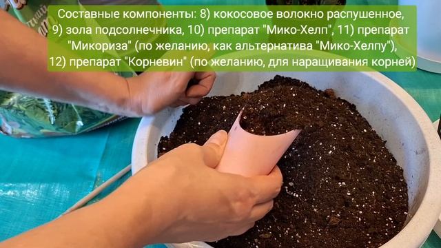 Замиокулькас.Ч.2: Готовим грунт для пересадки замиков