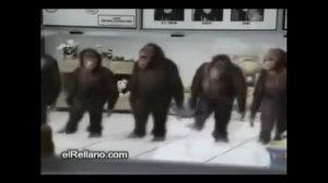 Танцующие обезьяны