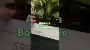 10 января 2025 г.