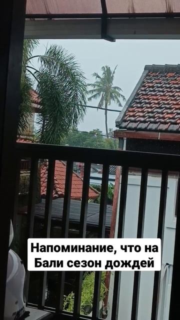 На #Бали #сезон дождей #санур #влог #путешествие #погода