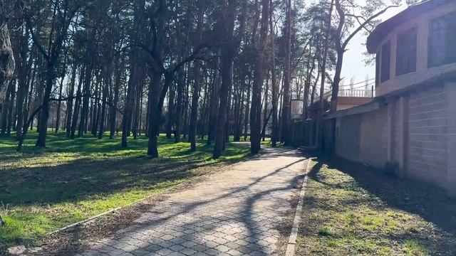 Парк «Солнечный Остров» Краснодар. Сафари Парк, аттра?