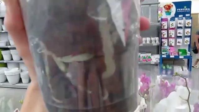 26.07.21.ОРХИДЕИ и не только в садовом центре "Планета Лет?