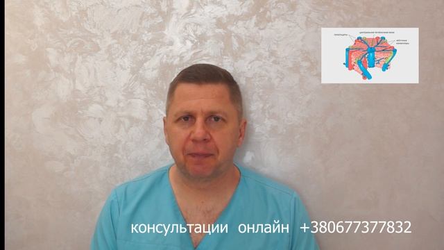 Как помочь печени? Лечение жирной печени. Лекарство от