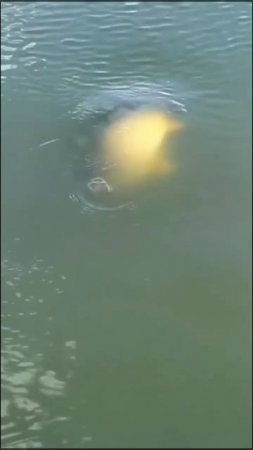 Малыш 🐟🎣 😂😎