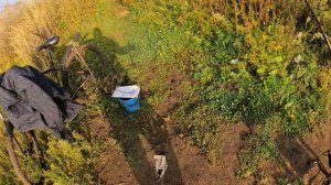 Линь и карась на удочку и фидер. Рыбалка на пруду.