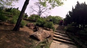 Сад пионов в парке Труда города Далянь, 30 апреля 2024 год