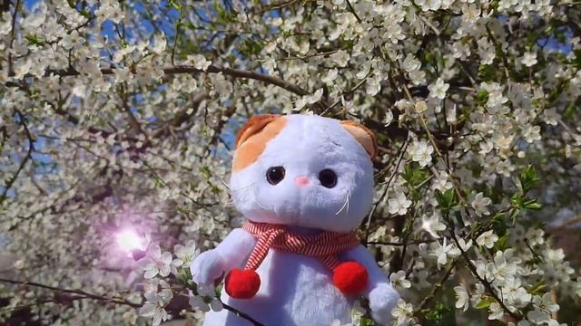 Красивое поздравление с Днём Рождения от кошечки Лили