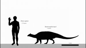 Худший Период Для Путешествий Во Времени...