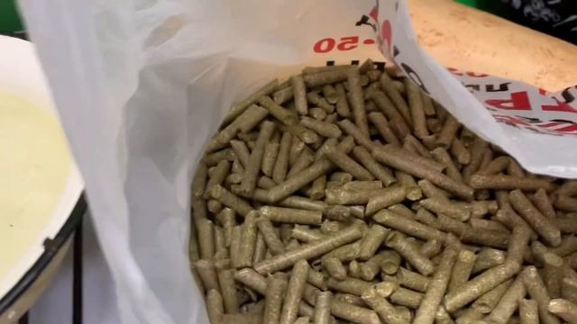 Утро в курятнике🐓что сегодня у кур на обед🐔негритос смотреть онлайн