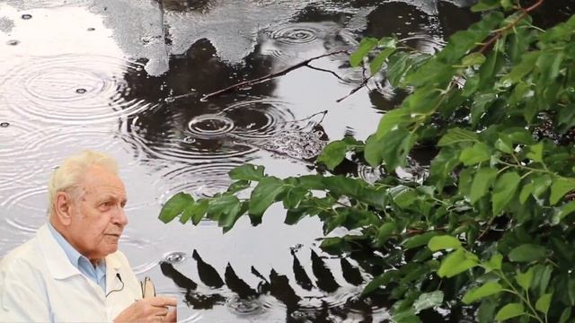 Печень разрушается БЕЗ боли! Как спасти «молчаливого ?